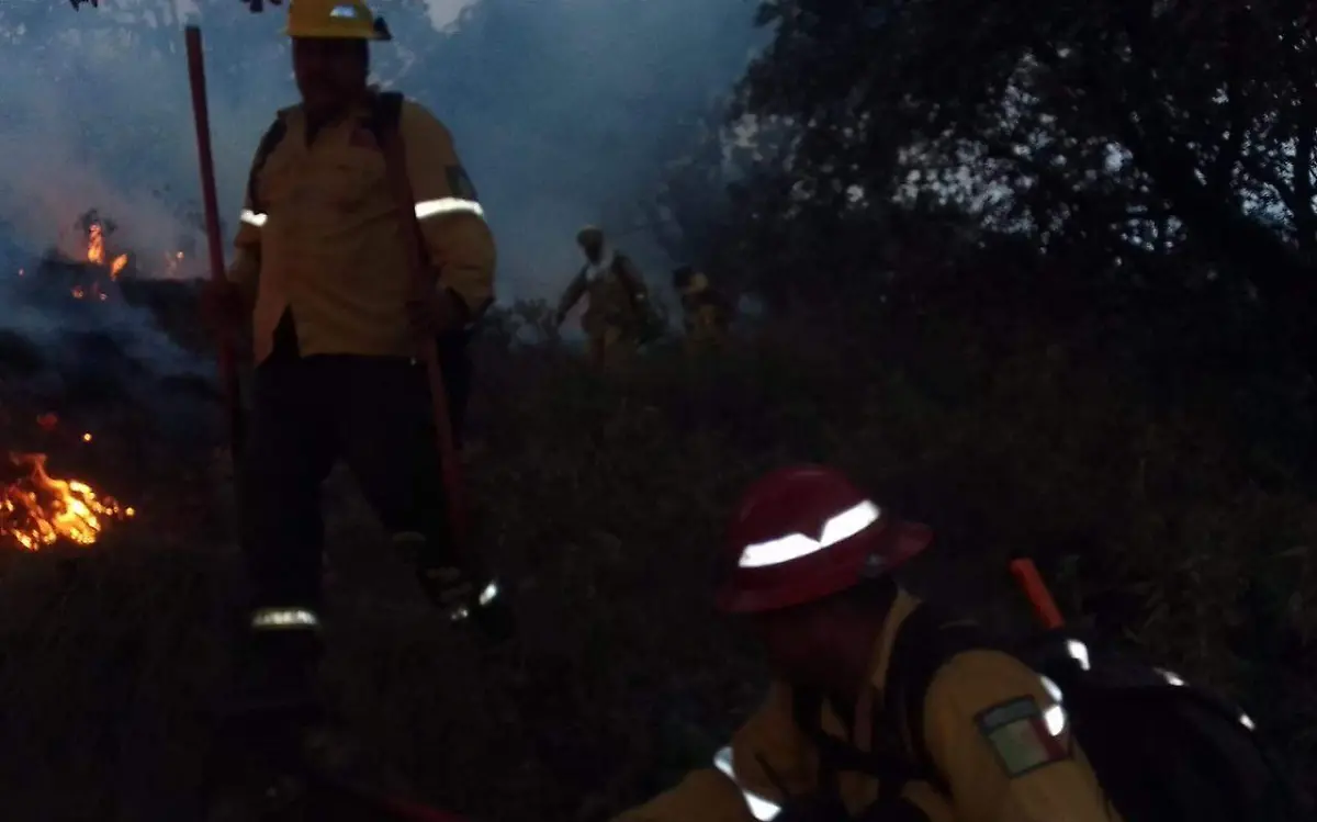 Incendio Cerro el Tajo